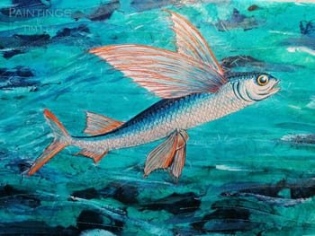 Flying Fish
